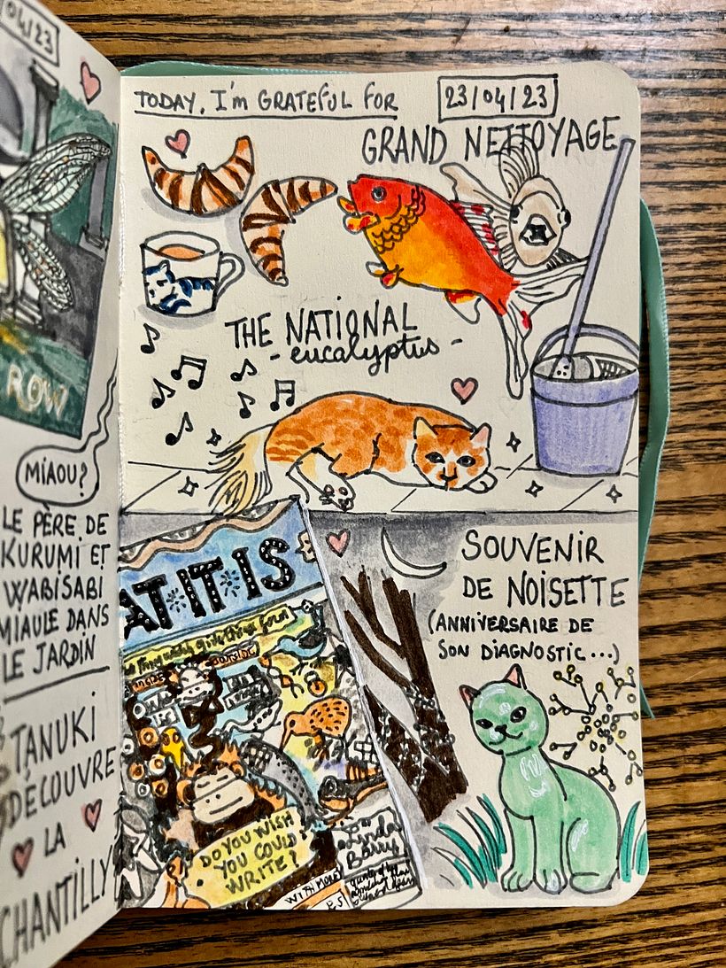 Cleaning : the aquarium and the kitchen floor ! Finding beloved books by Lynda Barry <3 Remembering Noisette