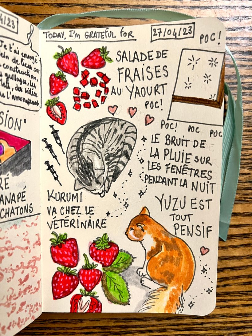 Strawberry salad for breakfast, taking Kurumi to the vet because he is sick to his stomach, hearing the rain on the windows