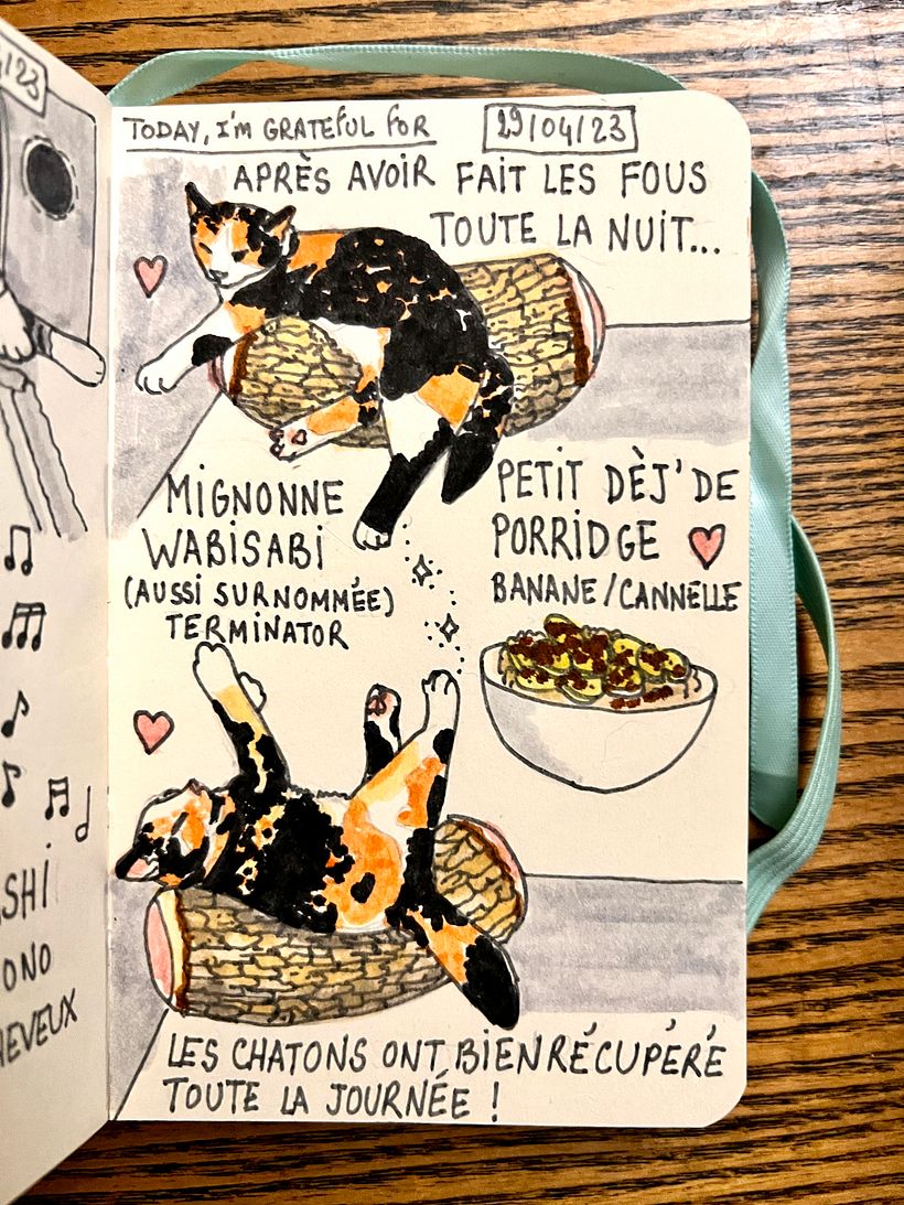 The kittens kept us awake all night, but we all rested during the day, after a breakfast of banana-cinnamon porridge