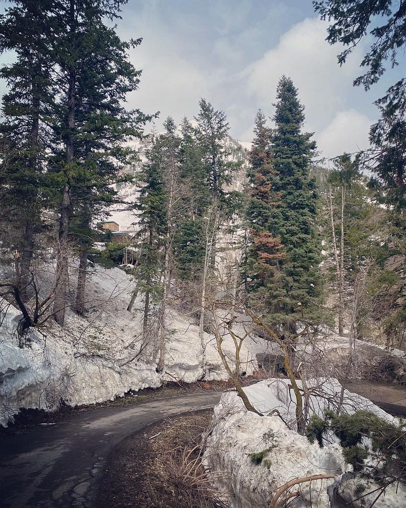 My project for course:  Storytelling Strategies for Instagram Reels 4