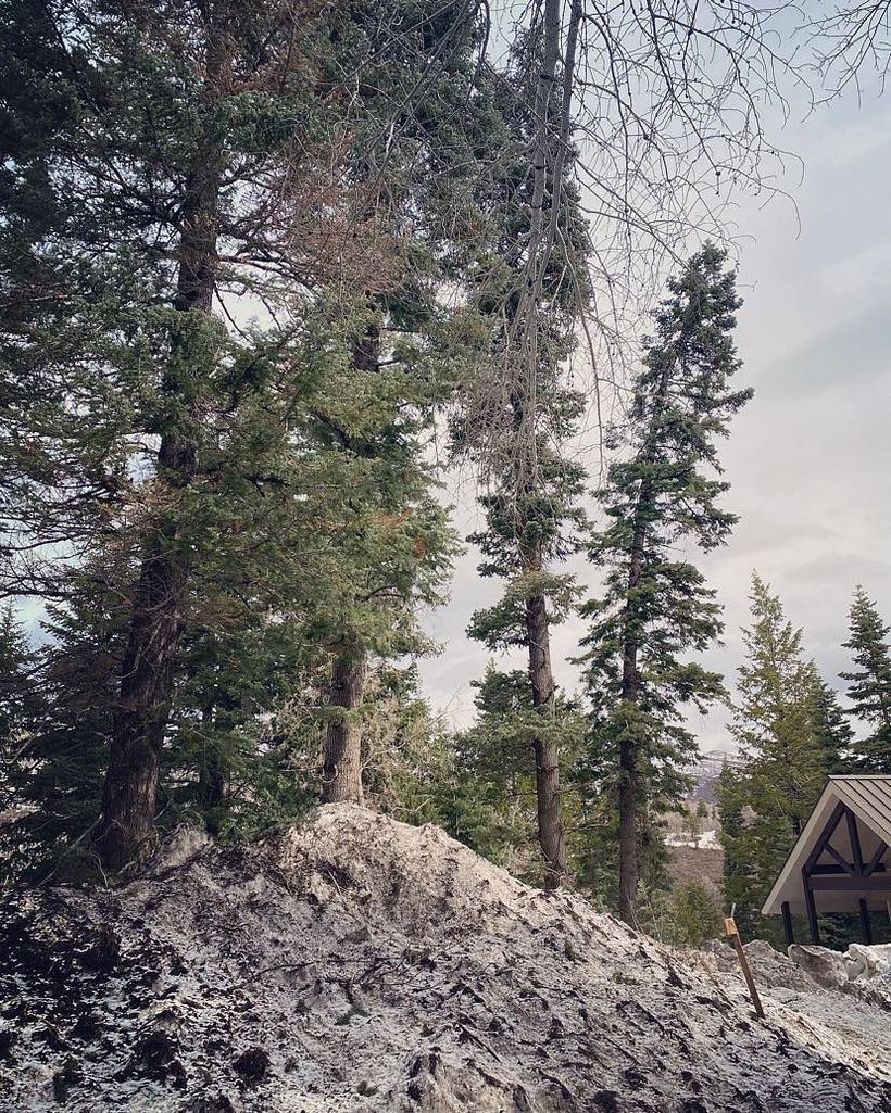 My project for course:  Storytelling Strategies for Instagram Reels 5