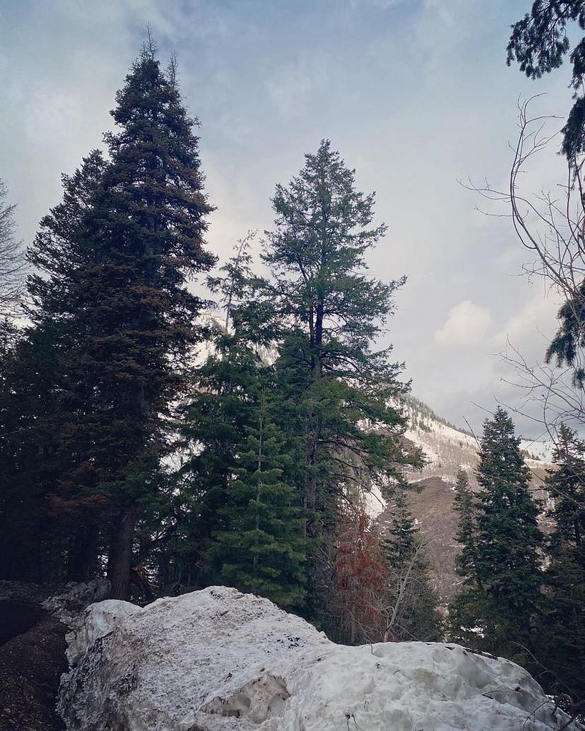 My project for course:  Storytelling Strategies for Instagram Reels 6
