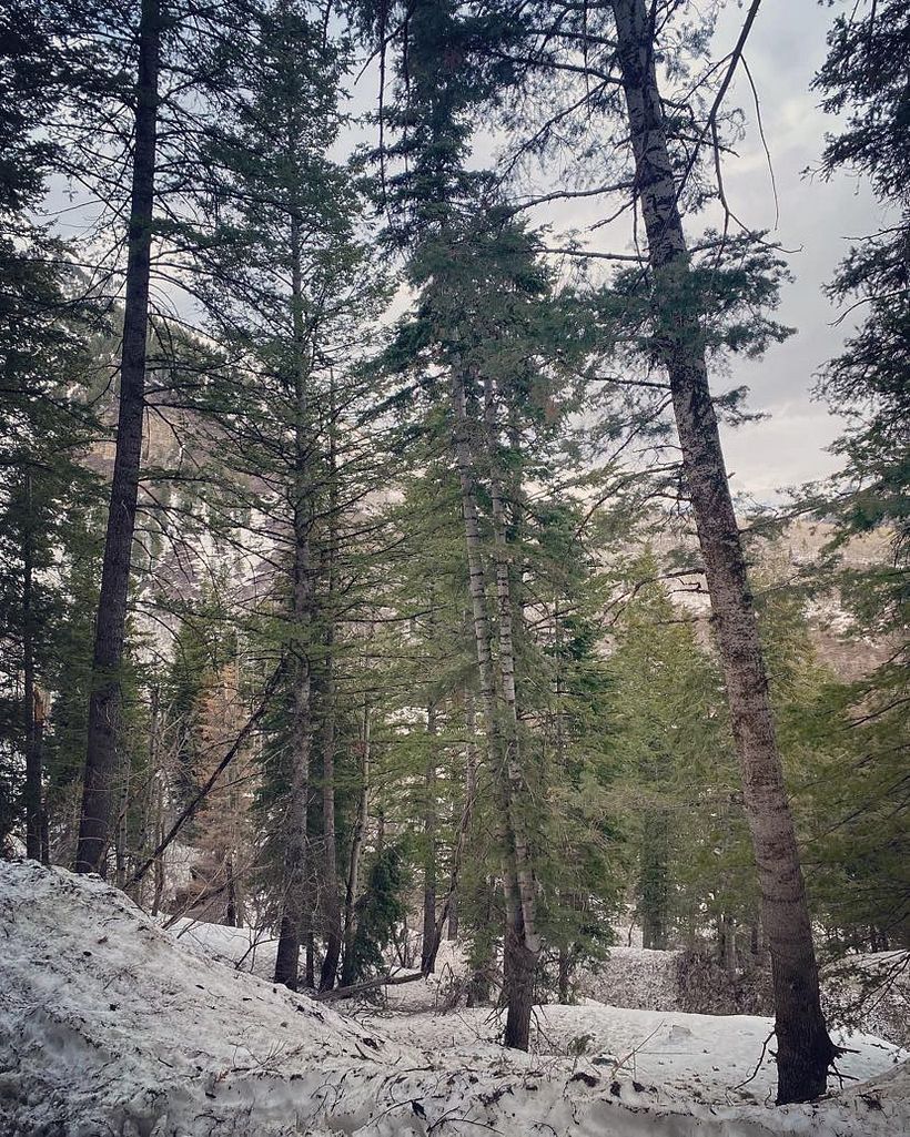My project for course:  Storytelling Strategies for Instagram Reels 7