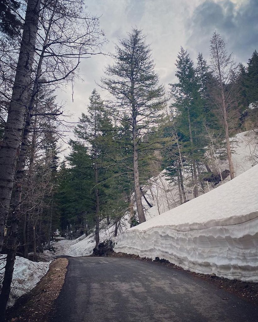 My project for course:  Storytelling Strategies for Instagram Reels 8