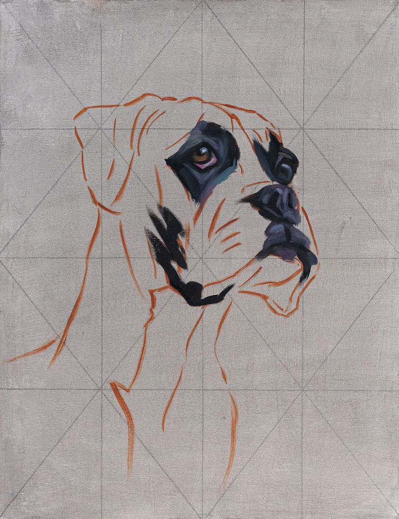 Ho iniziato dipingendo le zone più scure o in ombra, poi quelle più chiare, quindi gli occhi, il naso e la bocca.