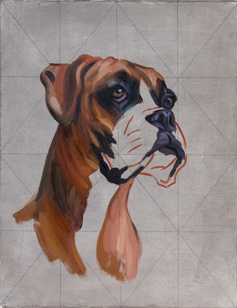 Progetto per il mio corso di pittura di animali domestici 4