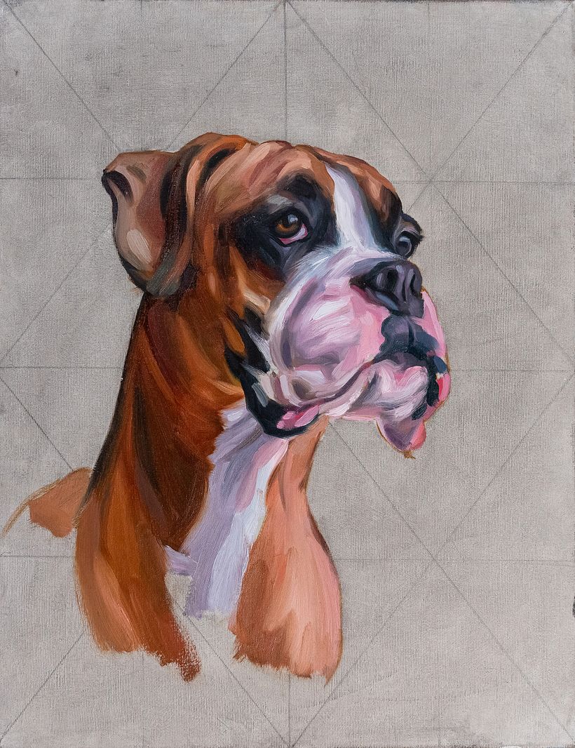 Progetto per il mio corso di pittura di animali domestici 5