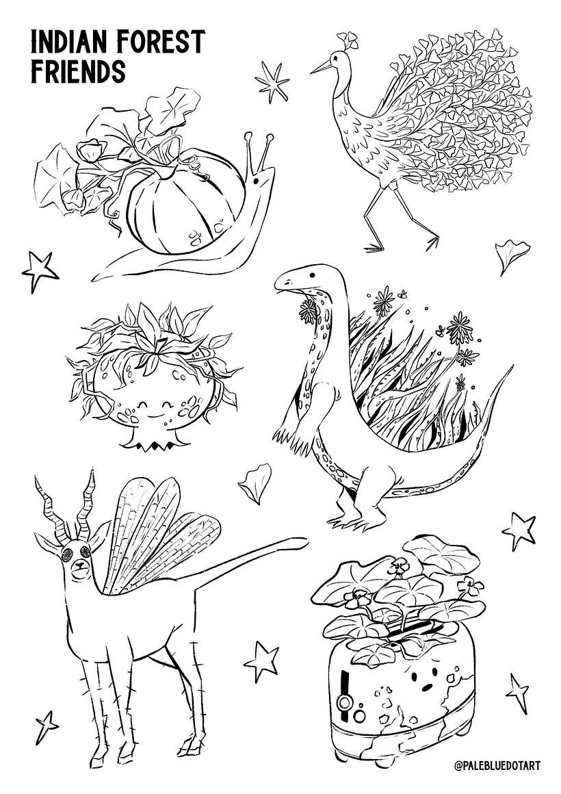Sketch