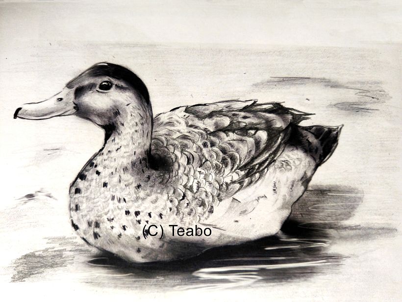 My project for course: Naturalistic Animal Drawing with Graphite Pencil. 2