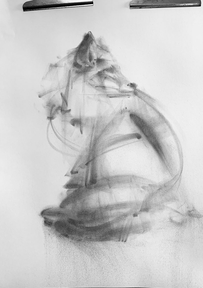 Vi las grandes formas y líneas, dibujé lo que vi y cómo me sentí.