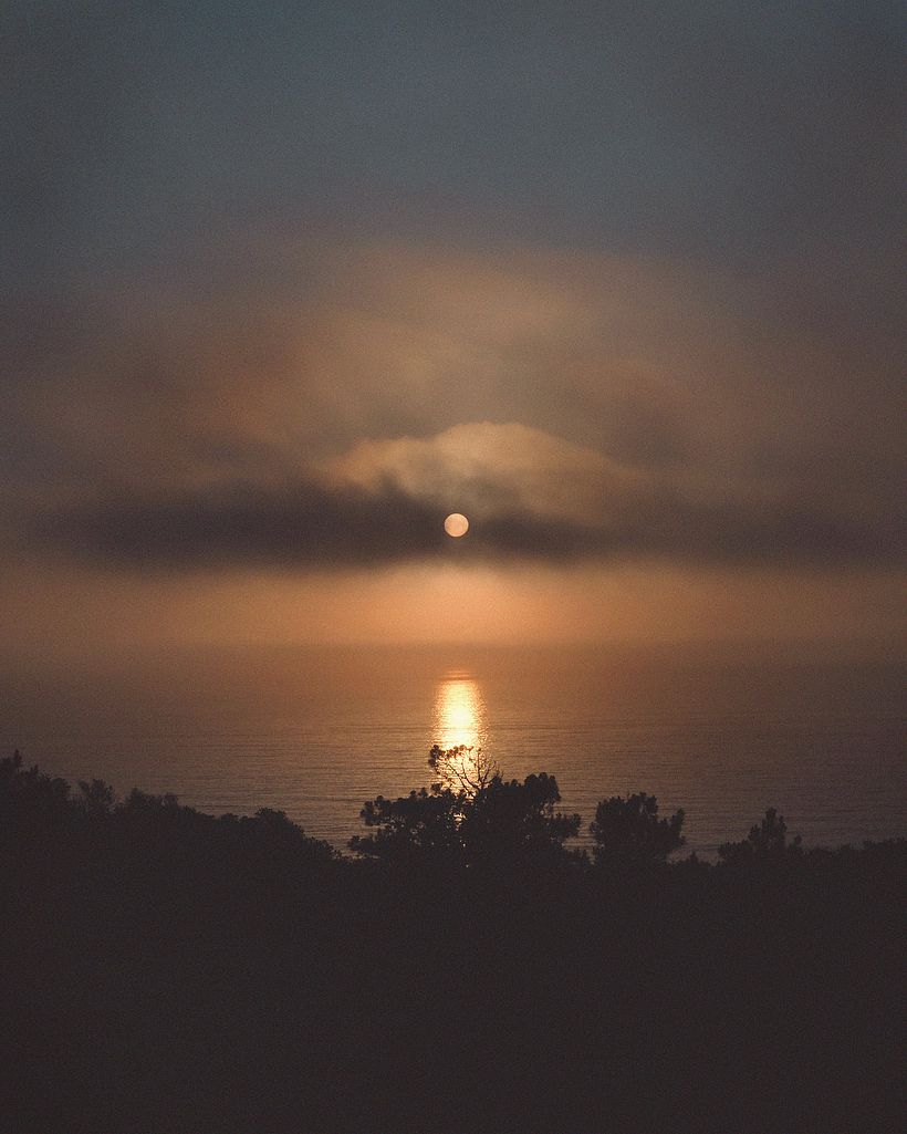 Moderne Naturfotografie  4