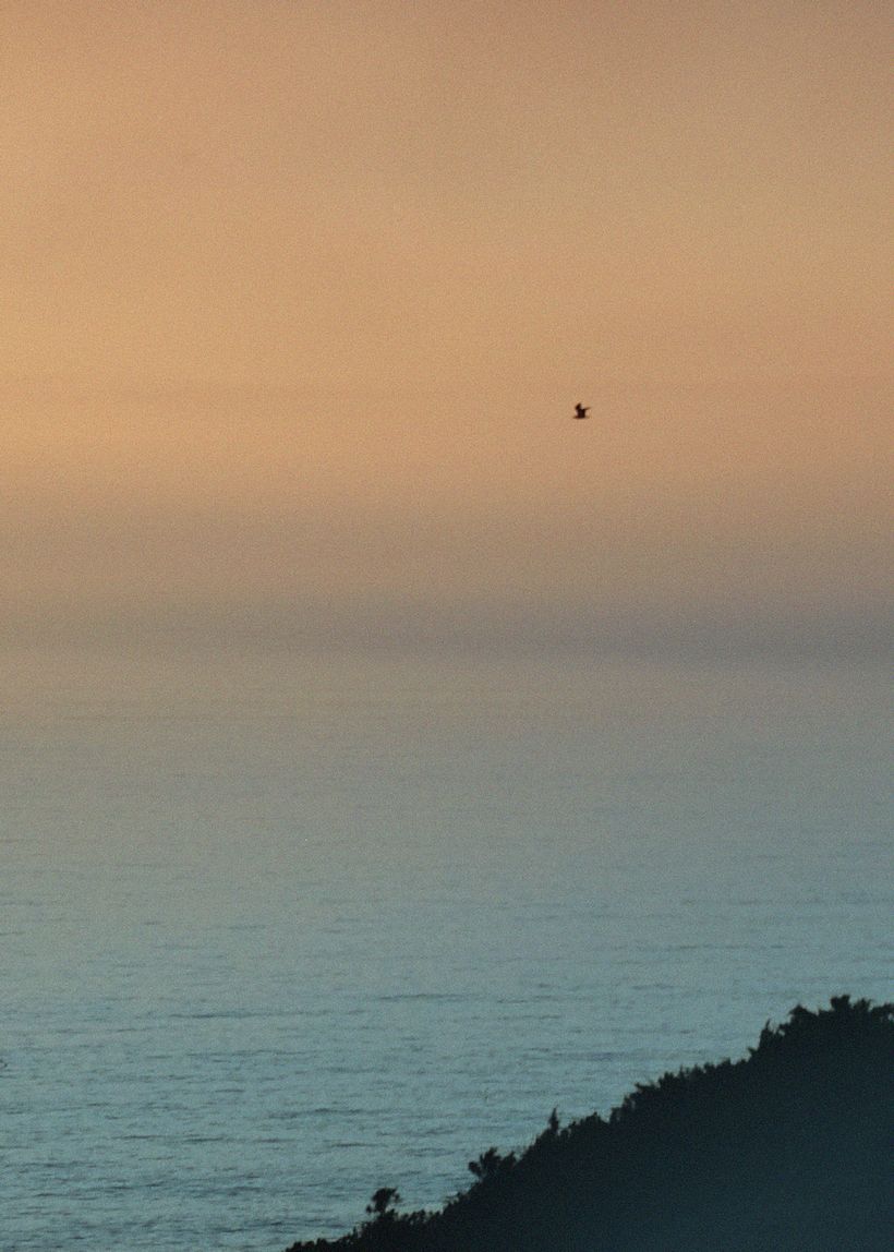 Moderne Naturfotografie  5