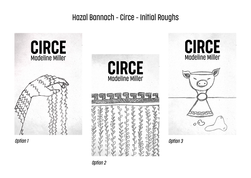 I have created 3 initial roughs. 