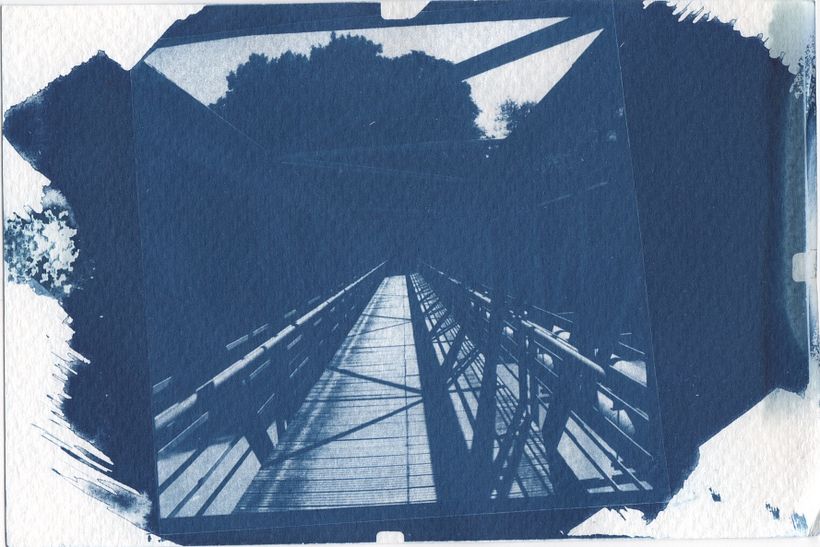 Cyanotype au bord de la rivière 1