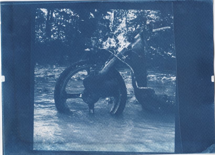 Cyanotype au bord de la rivière 2