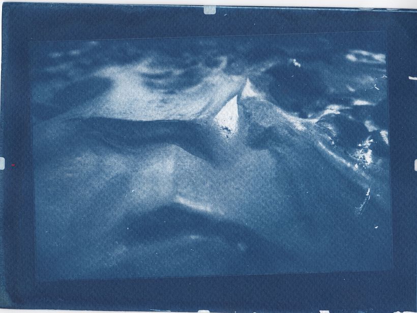 Cyanotype au bord de la rivière 4