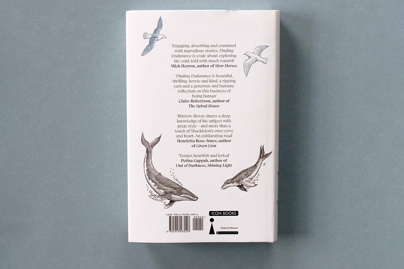 Buchcover-Illustration „Endurance finden“ 6