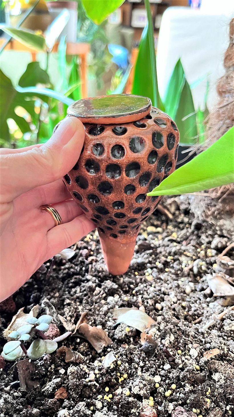 My project for course: Ceramics: Design and Create Self-Watering Pieces 9