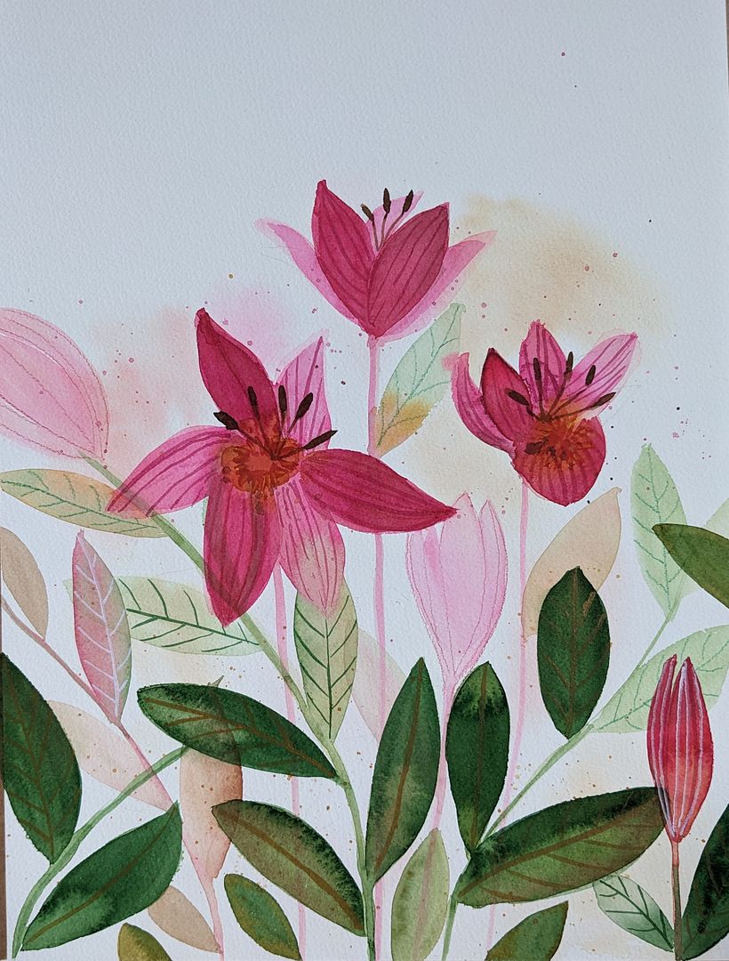 Tulips - Traditional illustration