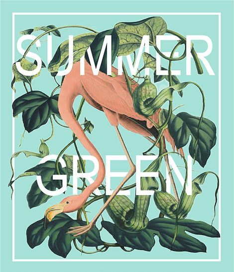 Summer Green - Grafikdesign
