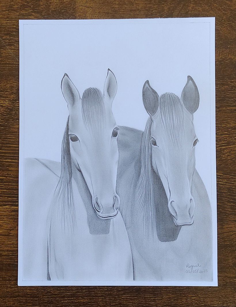 Meu projeto do curso: Desenho realista: aprenda a observar o mundo ao seu  redor | Domestika, image size:820x1068