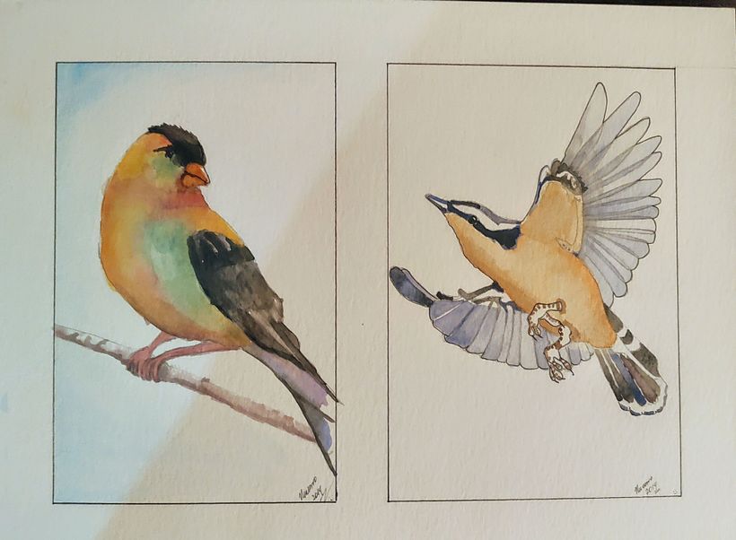 Palacio de Bellas Artes  2