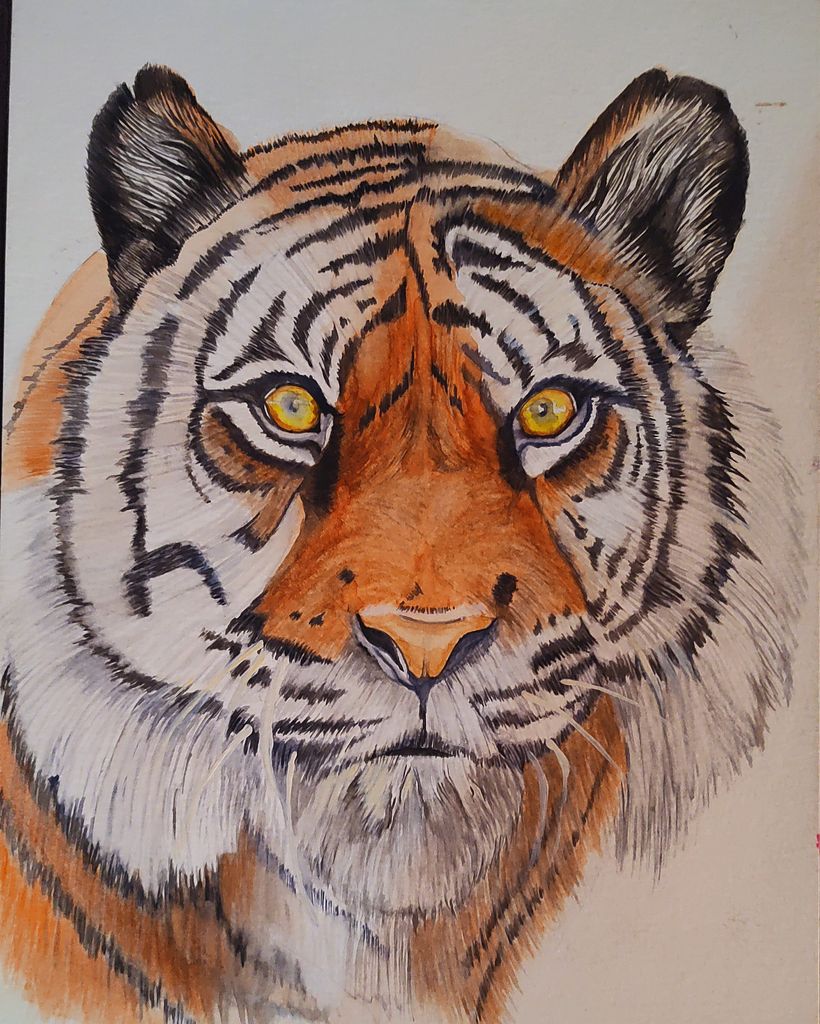 Palacio de Bellas Artes  9