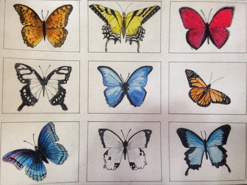 Palacio de Bellas Artes  11