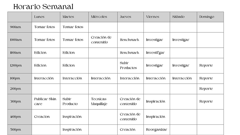 Mi proyecto del curso: Introducción al community management 9