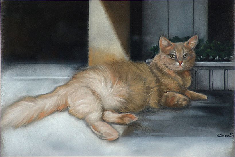 Sebastian (gift) - pastel on paper (Ingres)