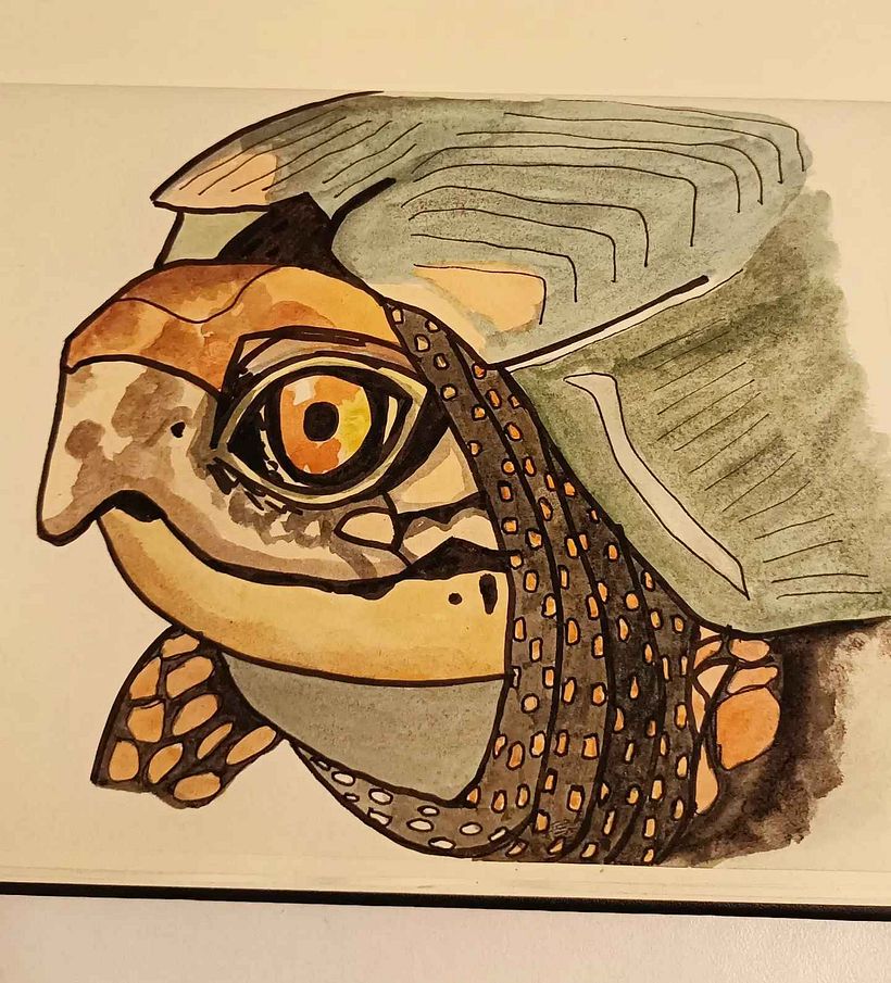 Mi proyecto del curso: Naturaleza ilustrada: una exploración creativa 1