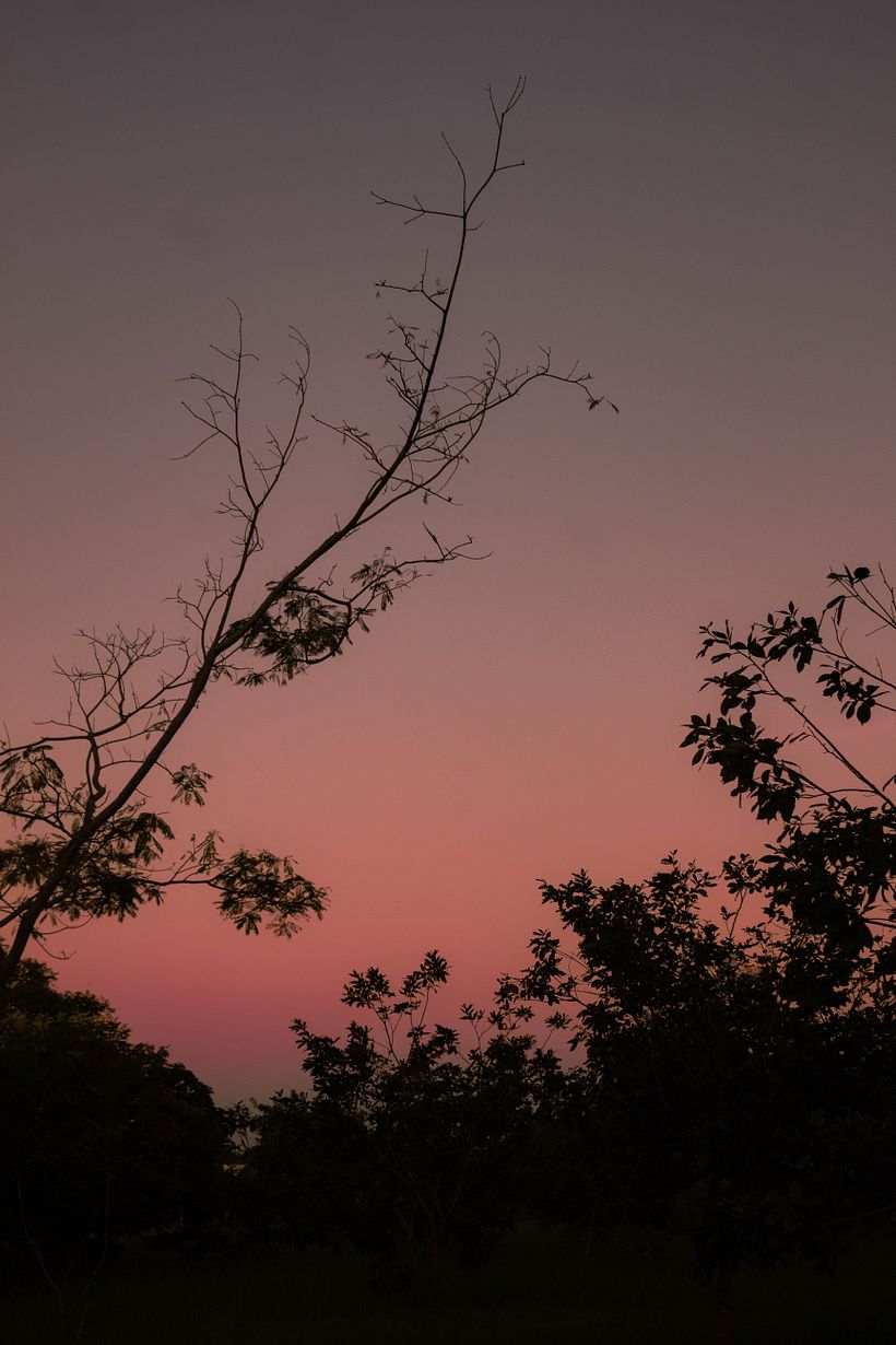 Meu projeto do curso: Teoria das cores na fotografia 5