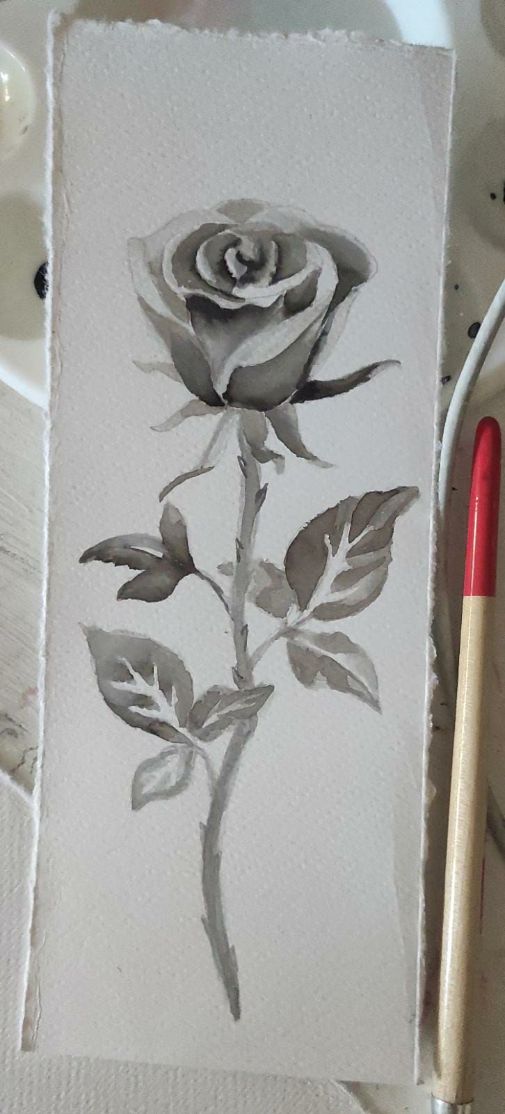 Solo tinta china Parker y agua 