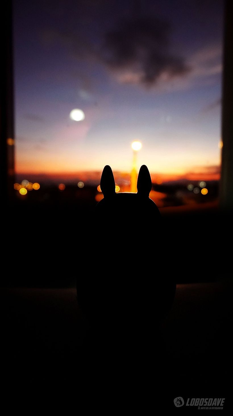 Mi proyecto del curso: LOBOSDAVE – El Arte de la Fotografía 3