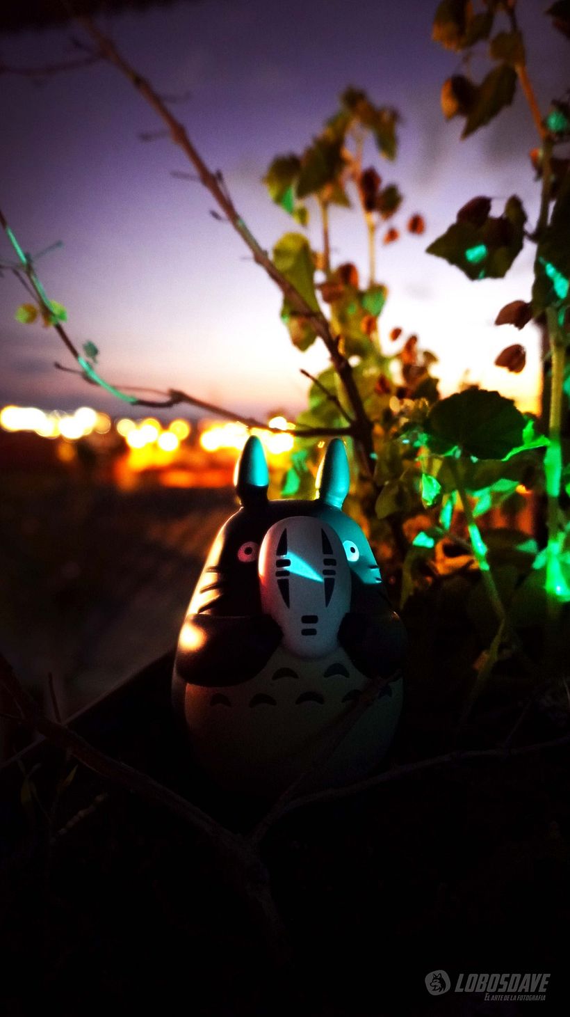 Mi proyecto del curso: LOBOSDAVE – El Arte de la Fotografía 4