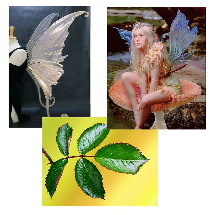 Referencias