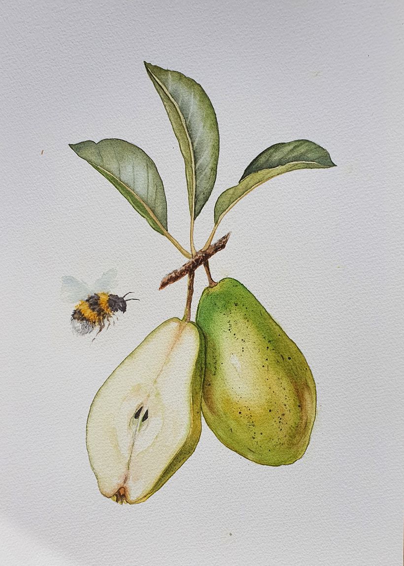 Mój projekt z kursu: Realistyczna ilustracja botaniczna: ucieczka do świata natury 1