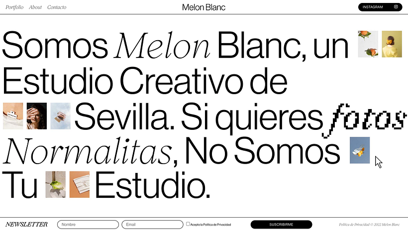 Mi proyecto del curso: Diseño web sin código con Elementor y Wordpress 1