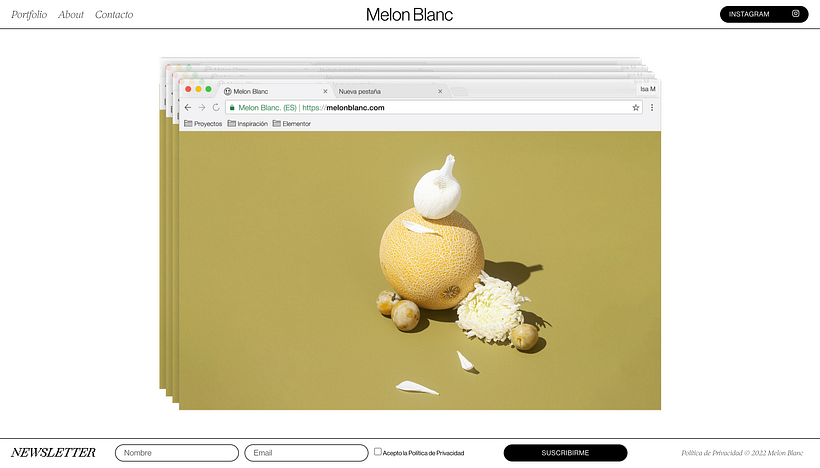 Mi proyecto del curso: Diseño web sin código con Elementor y Wordpress 5