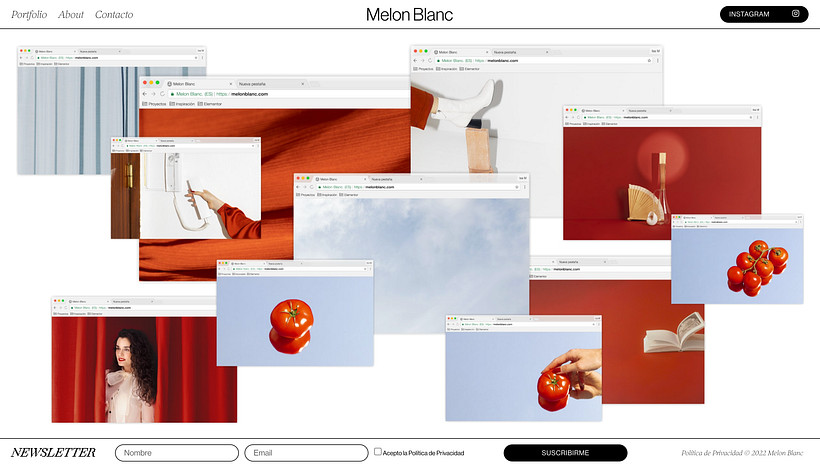 Mi proyecto del curso: Diseño web sin código con Elementor y Wordpress 7