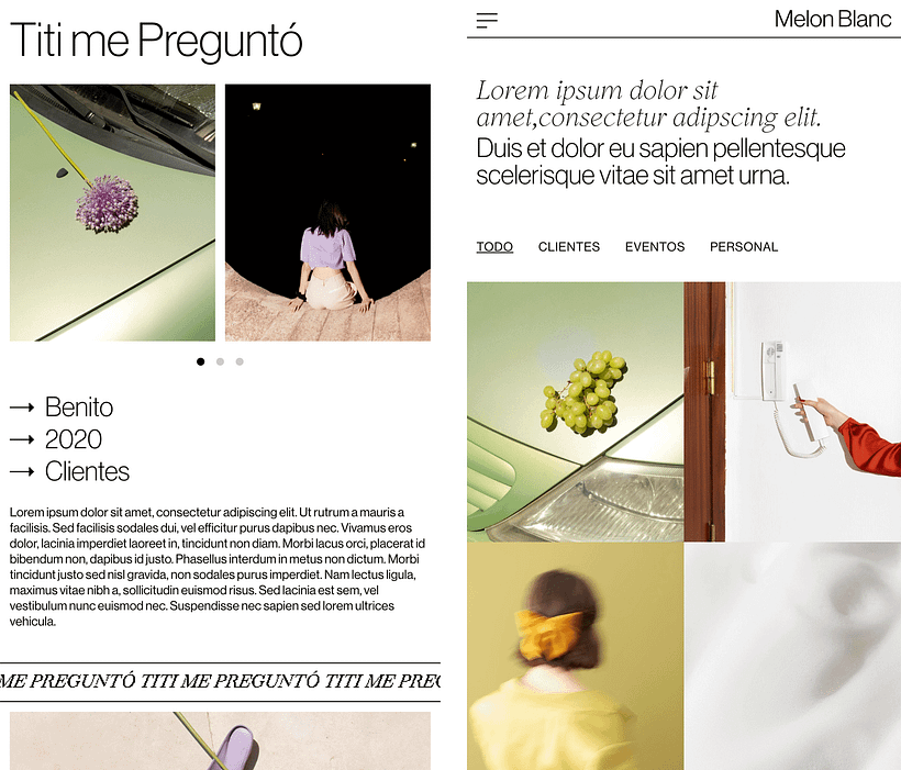 Mi proyecto del curso: Diseño web sin código con Elementor y Wordpress 13