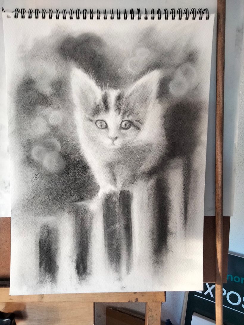 My project for course: Expressive Drawing with Charcoal 4