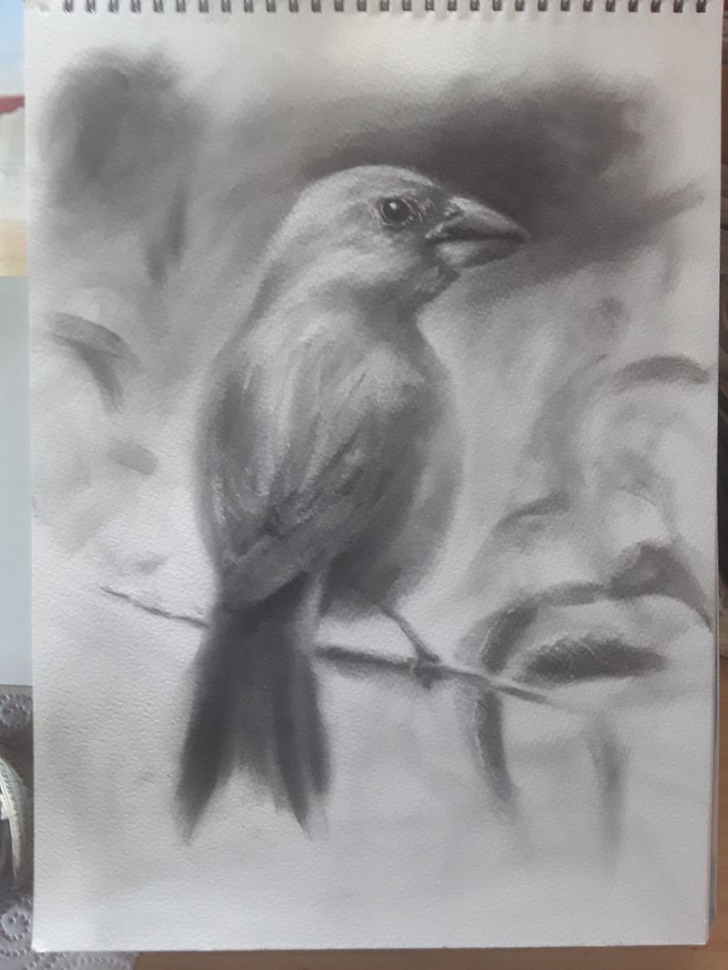 My project for course: Expressive Drawing with Charcoal 5