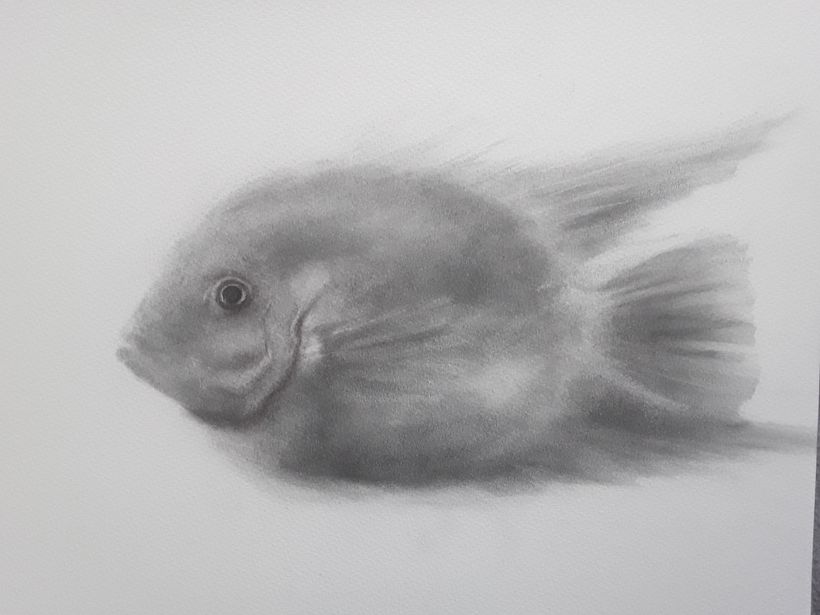My project for course: Expressive Drawing with Charcoal 6