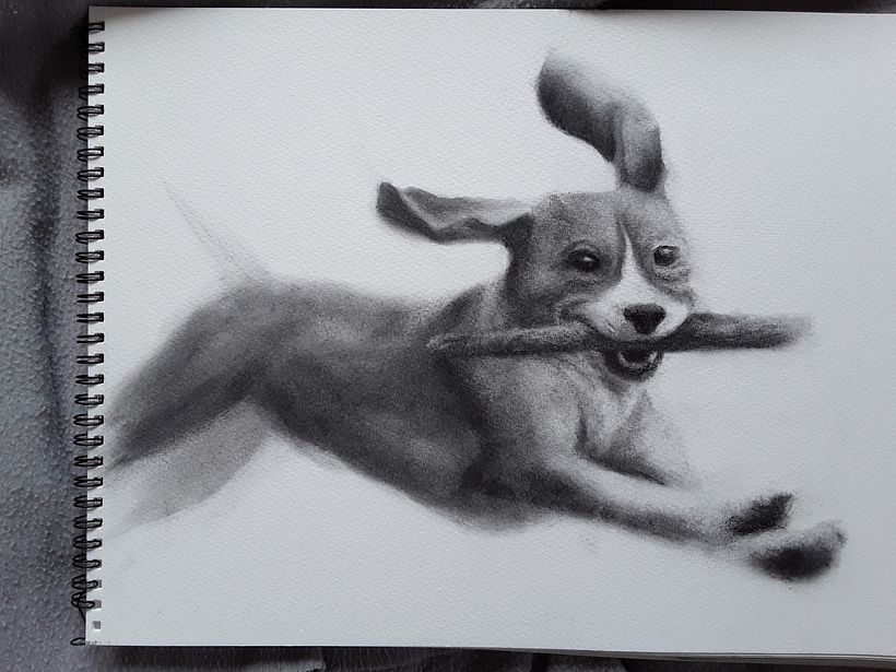My project for course: Expressive Drawing with Charcoal 7