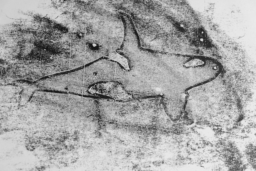 My project for course: Animal Illustration with Charcoal and Ink 3