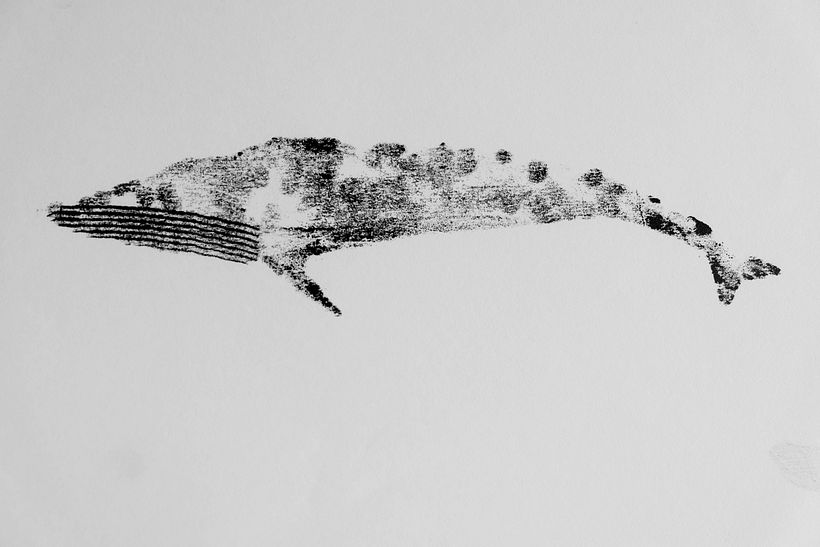 My project for course: Animal Illustration with Charcoal and Ink 4