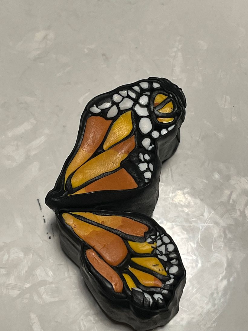 Monarch Butterfly 4