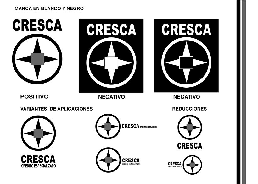 POSITIVO  Y NEGATIVO  EN BLANCO Y NEGRO Y GRIS.