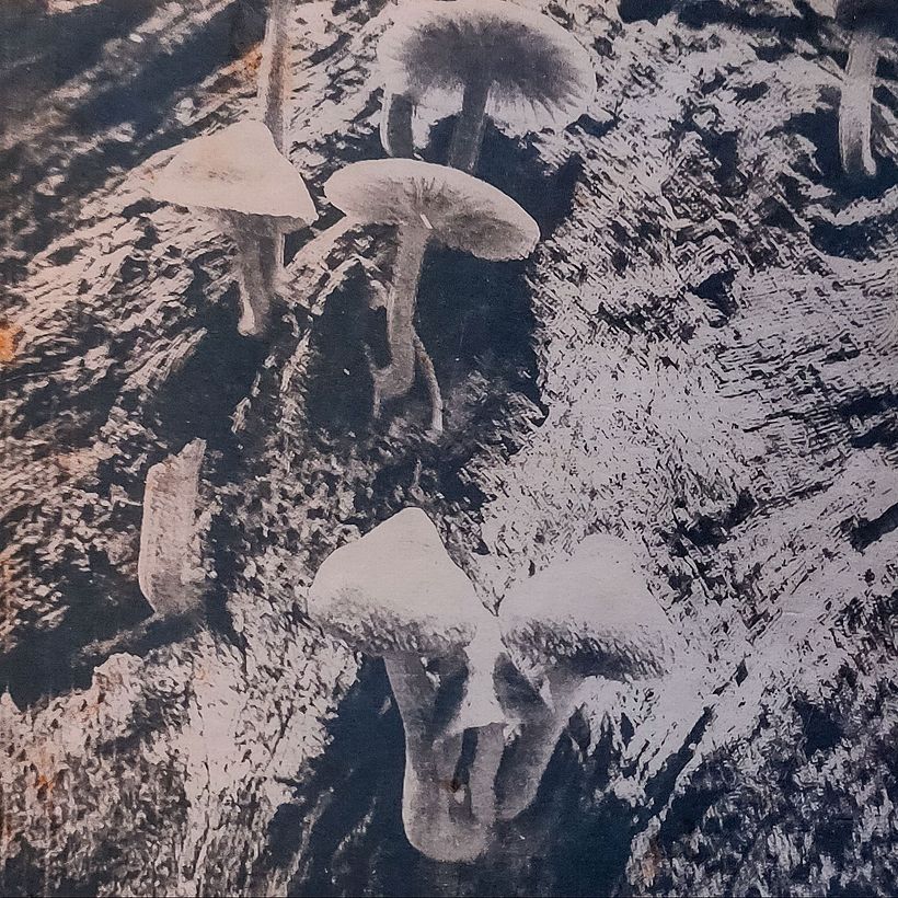 Two negatives were used and it looks as if they didn't line up exactly. Green tea toning gives it this colour.